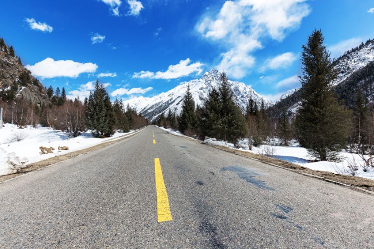 Road stretching into distance