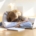 Woman with her head on desk